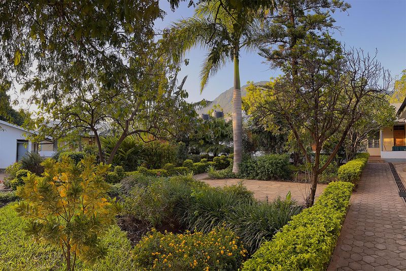 Garden paths beneath palms at Amani