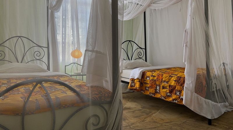 Close view of beds with canopy nets